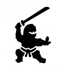 Ninja