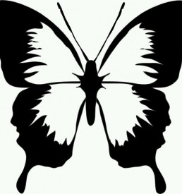 vlinder
