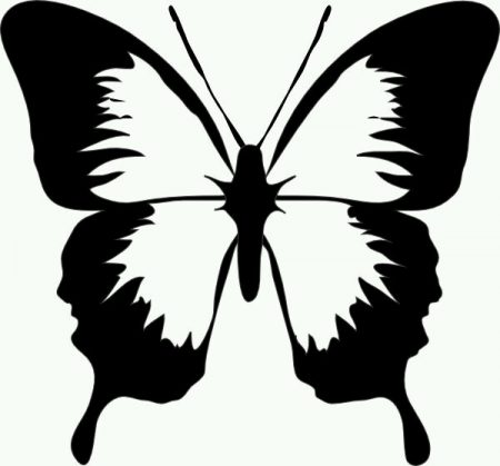 vlinder